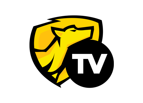 ldtvlogo